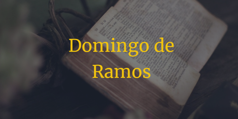 Procesiones Domingo de Ramos Salamanca 2024
